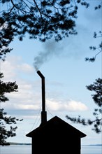 Sauna house with smoking chimney between pines
