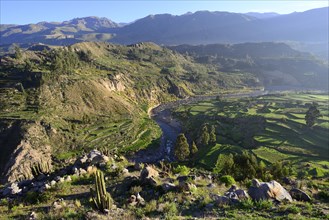 Landscape at the canyon of the Rio Colca