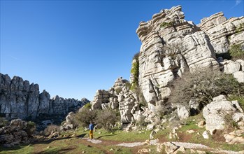 Rock formations of limestone