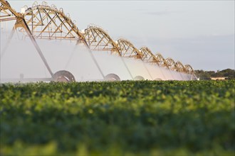 Irrigation of soybean crops at Luis Eduardo Magalhaes