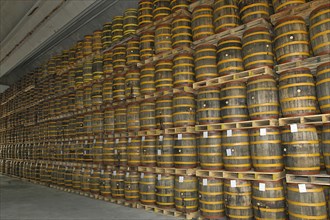 Rum barrels in rum factory