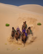 Galloping camels. Gobi desert