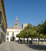 Patio de Banderas with bell tower La Giralda
