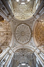Vaulted ceiling decorated with stucco and gold