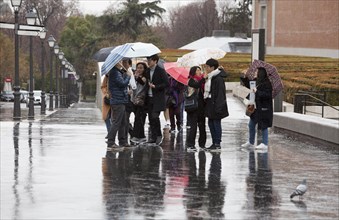 Japanese tourists with umbrellas leave the Prado Museum towards the bus on a rainy sunday in Madrid