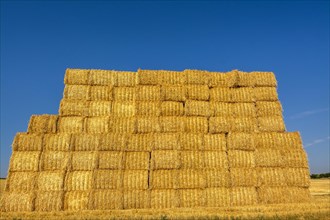 Stacked dried straw
