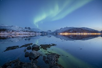 Aurora borealis above snow-capped peaks reflected in a fjord