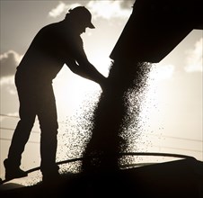 Worker Controls Unload of Soya Beans near Luis Eduardo Magalhaes