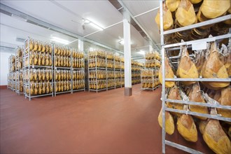 Storage room with raw ham