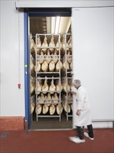 Employee in the cold store for raw ham