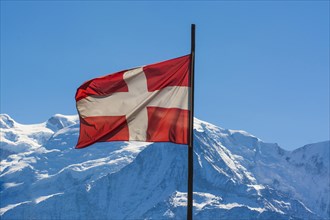 Waving Savoy flag