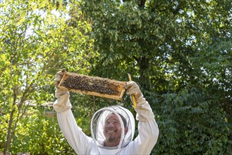 Beekeeper controls his honey bees