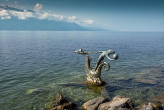 Seahorses on Lake Geneva