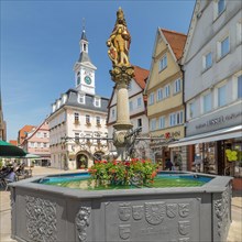 Market fountain and historic town hall on the market square