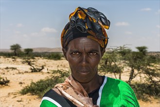 Afar woman in the savanah of Somaliland