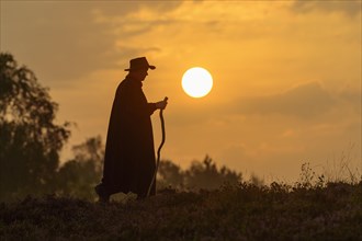 Shepherd walking in the heath in front of the rising sun