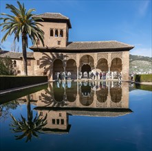 Historic building El Partal with pool and palm trees