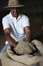 Foreman shows coffee beans before roast process at the Coffee plantation processing plant in Itapira
