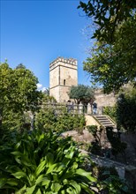 Tower and Garden of the Alcazar