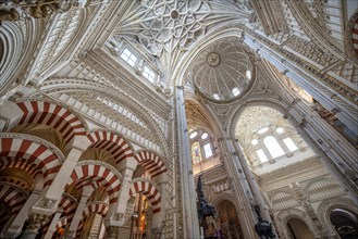 Vaulted ceiling decorated with stucco and gold