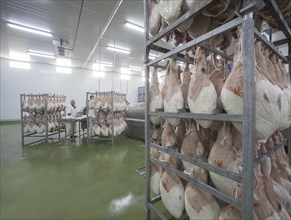 Cured ham is prepared for storage in the cryogenic chamber