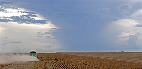 Late Afternoon Mechanized Soybean Harvest near Luis Eduardo Magalhaes