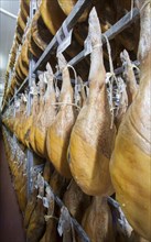 Cured ham in the drying chamber