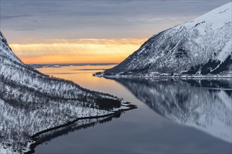 Norwegian fjord at dusk