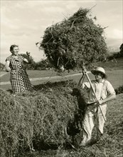 Hay reloading by hand