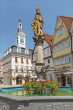 Market fountain and historic town hall on the market square