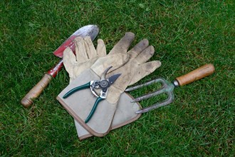Garden tools lying in the grass