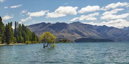 Lake Wanaka in summer