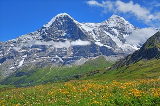 Mountain meadow on the Maennlichen with Eiger and Moench