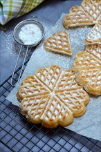 Waffles on cake rack and sieve with icing sugar