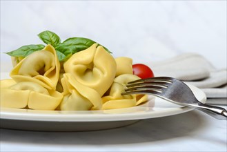 Tortelloni on plate with fork