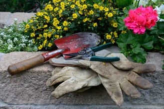 Garden tools lying on a wall with flowers
