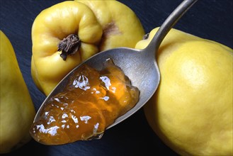 Quince jelly in spoon and quince fruit
