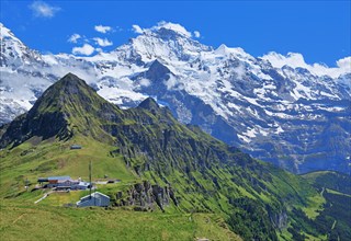 Mountain plateau on the Maennlichen with the Jungfrau massif