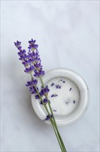 Lavender sugar in bowl and lavender flowers