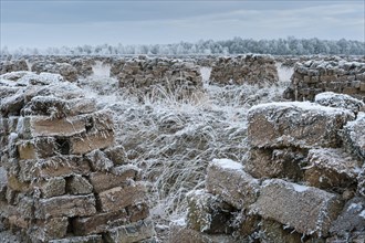 Piled up peat sods in the bog in winter at hoarfrost