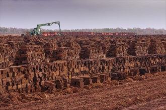 Piled up peat sods in the bog