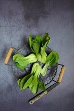 Pak Choi or Chinese mustard cabbage in wire basket with knife