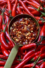 Chili flakes in ladle and chilli peppers