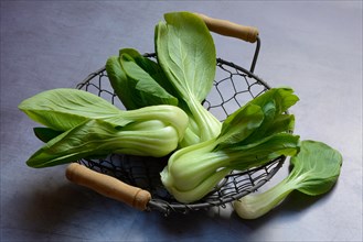Pak Choi or Chinese mustard cabbage in wire basket