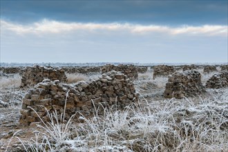 Piled up peat sods in the bog in winter at hoarfrost