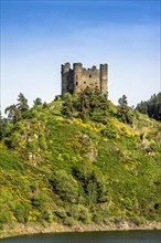 Castle of Alleuze