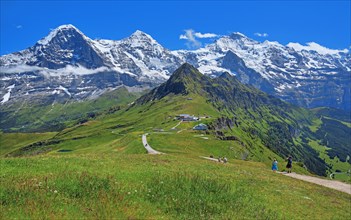 Mountain meadow and hiking trail on the Maennlichen with the triumvirate of the Eiger