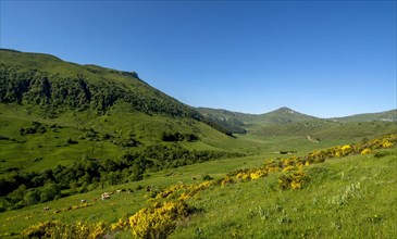 Dienne valley leading to Puy Mary