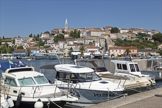 Boats in port