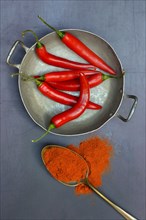 Chilli powder in spoon and chilli peppers in shell